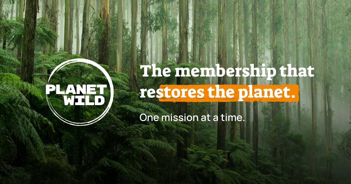 planet-wild-banner.jpg