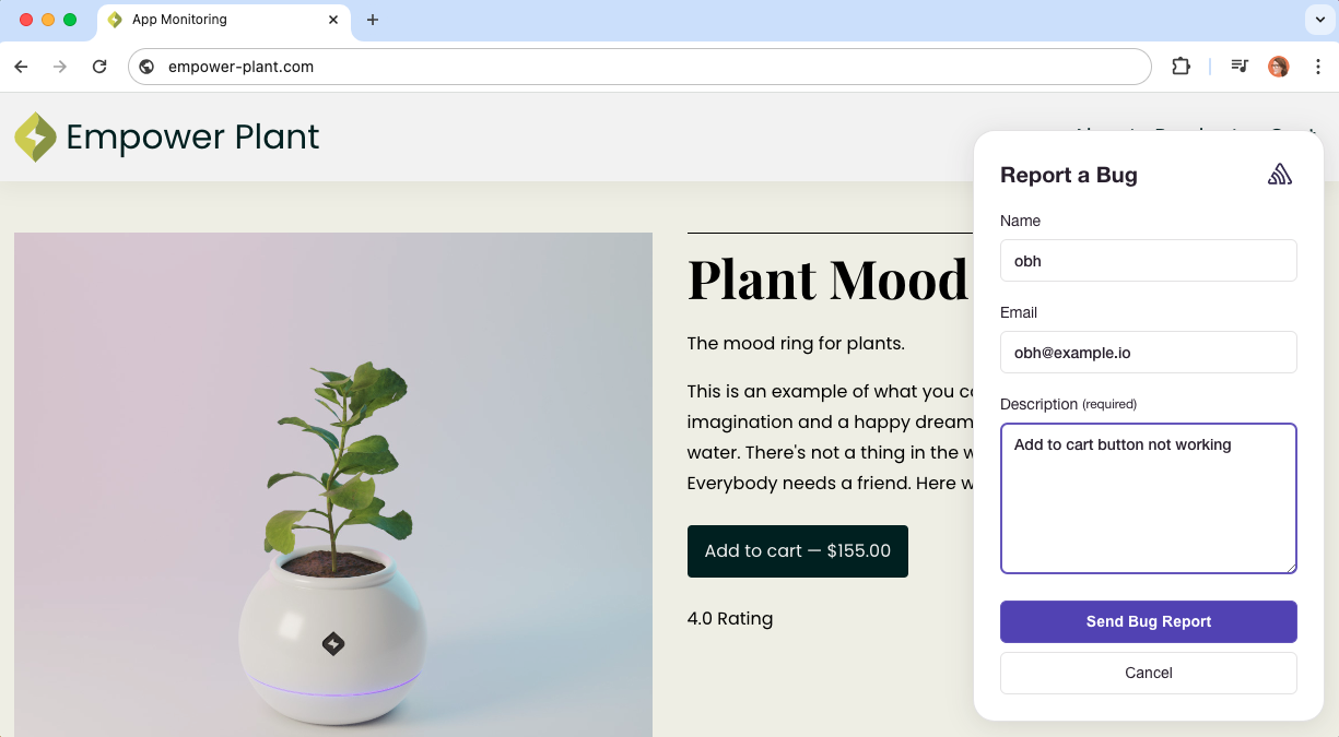 Sentry User Feedback